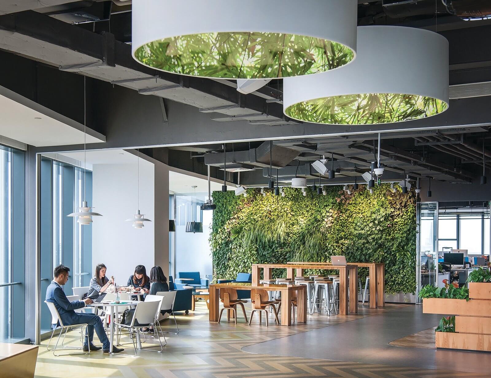 Thiết kế văn phòng xanh - Eco Office