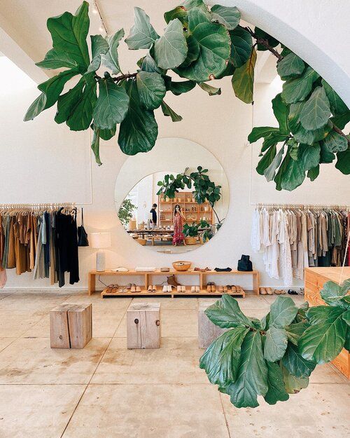 Mang lại không khí trong lành, sự gần gũi với thiên nhiên