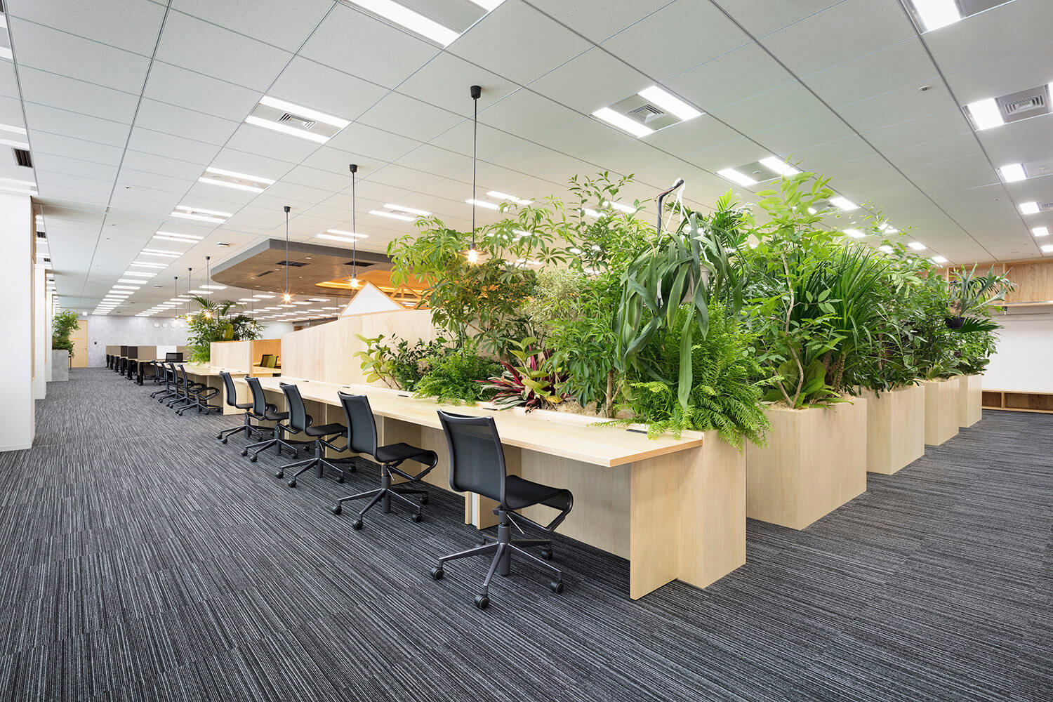 Thiết kế mặt bằng văn phòng dạng coworking